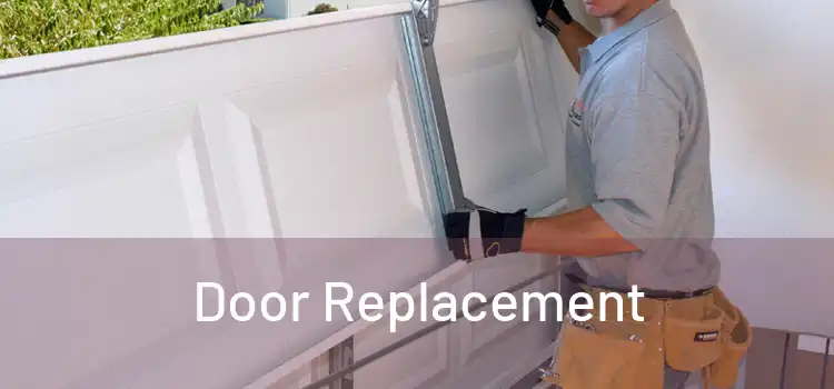  Door Replacement 